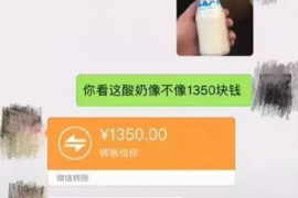 城阳为什么选择专业追讨公司来处理您的债务纠纷？